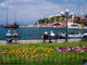 Insel Corfu Kassiopi Wall Decal