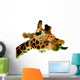 Funny Giraffe Wall Decal