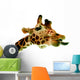 Funny Giraffe Wall Decal