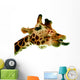 Funny Giraffe Wall Decal