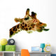 Funny Giraffe Wall Decal