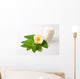 Flower and Skincare Wall Mural