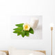 Flower and Skincare Wall Mural