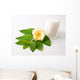 Flower and Skincare Wall Mural