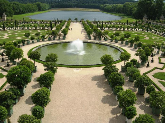 Versailles 5 Wall Decal