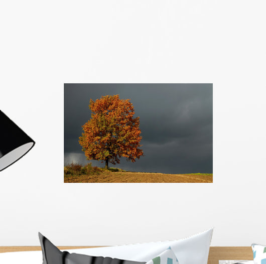 lone tree Wall Mural