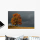 lone tree Wall Mural