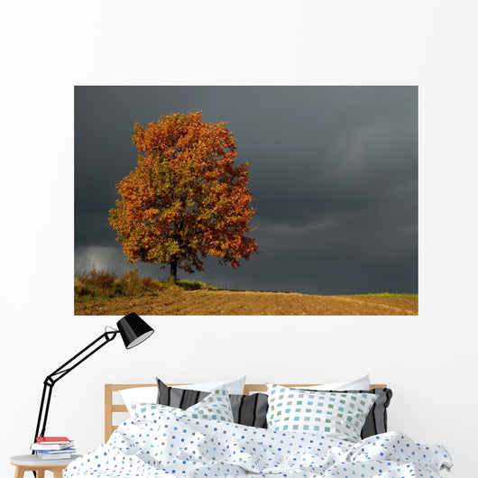 lone tree Wall Mural