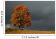 lone tree Wall Mural