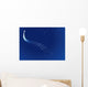 Starry Sky Wall Mural