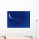 Starry Sky Wall Mural