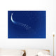 Starry Sky Wall Mural
