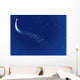 Starry Sky Wall Mural