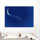 Starry Sky Wall Mural