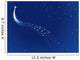 Starry Sky Wall Mural