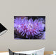 Colorful Sea Anemone 2 Wall Mural