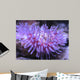 Colorful Sea Anemone 2 Wall Mural