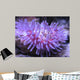 Colorful Sea Anemone 2 Wall Mural