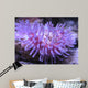 Colorful Sea Anemone 2 Wall Mural