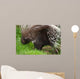 Porcupine Wall Mural
