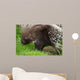 Porcupine Wall Mural