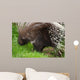 Porcupine Wall Mural
