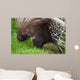 Porcupine Wall Mural