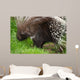 Porcupine Wall Mural