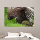 Porcupine Wall Mural