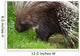 Porcupine Wall Mural