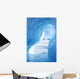 Ice cave Wall Mural
