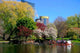 Boston Public Garden Spring Wall Decal Design 3