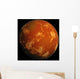 Planet Mars Wall Mural