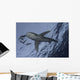Oceanic White Tip Shark Wall Decal