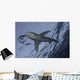 Oceanic White Tip Shark Wall Decal