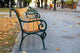 Wien Parkbanke im Herbst Wall Decal