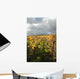 Row Vines Autumn Wall Decal