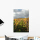 Row Vines Autumn Wall Decal