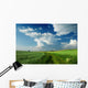 Beautiful Clouds over green fields Wall Mural