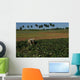 Ecologist Cuban Farmer Wall Decal