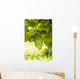 Weintrauben Wall Decal