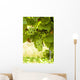 Weintrauben Wall Decal