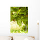 Weintrauben Wall Decal