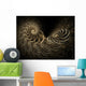 Finely Detailed Spiral Wall Mural