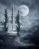 Gothic scenery 19 Wall Mural