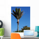 Nikau Palm Wall Mural