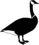 Canadian Goose Standing Silhouette Wall Decal
