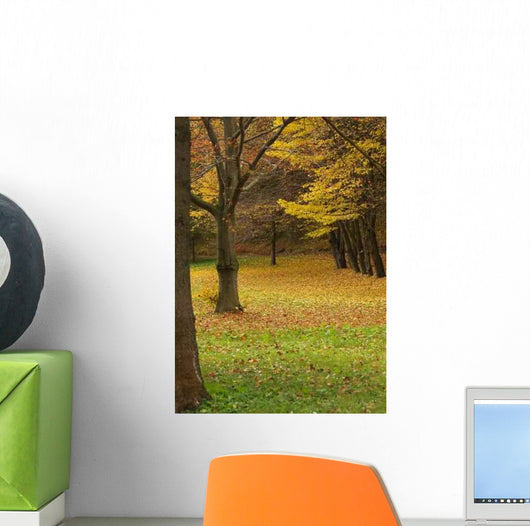 Park Autumn Wall Decal