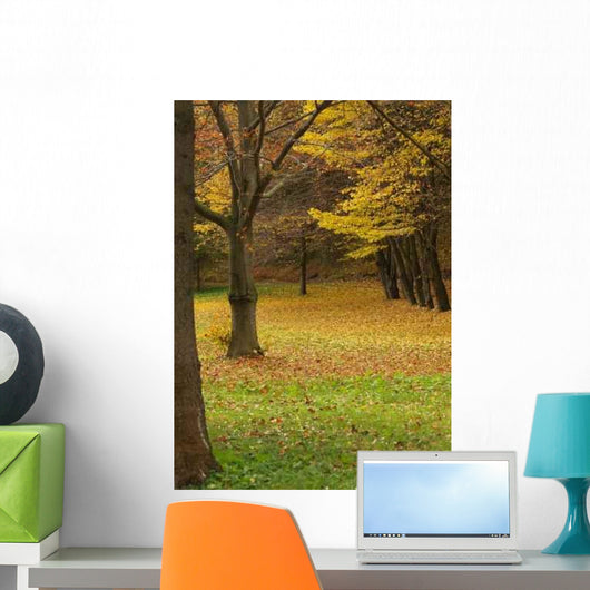 Park Autumn Wall Decal