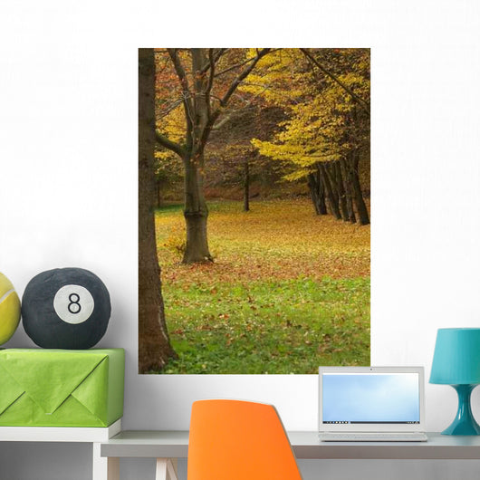 Park Autumn Wall Decal